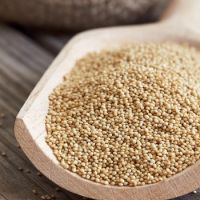 Amaranth Grains/Amaranth Grains for sales/Amaranth Seeds