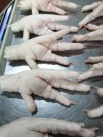 Frozen chicken paws