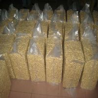 cashew nut, cashew kenel , cashew without shell