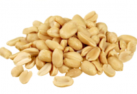 Wholesale Peanuts Organic Peanut Kernels Best Price Raw Peanuts Wholesale Raw Kernel Peanuts High Quality