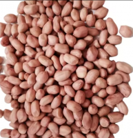 bulk raw peanuts for sale near me