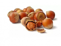 Best Quality Hazelnuts / Organic Hazel Nuts For Sale