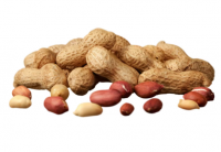 Red Skin Peanut Kernels South Africa
