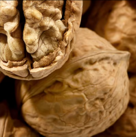 Walnut In Shell Bulk Nuts Wholesale Walnuts washed