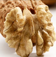 Sell 100% Natural Dried Walnut / Walnut Inshell