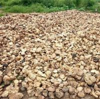 Natural Rubber cup lump