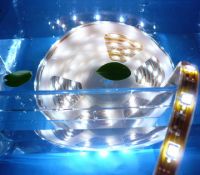 Sell waterproof led strip