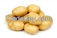 Looking for Potato Buyers