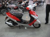 Sell fekon motorcycle 48QT new model