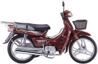 Sell motorcycle fekon 110-2