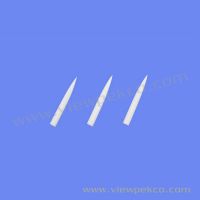 Tips of Lip Gloss Brushes