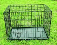 pet product