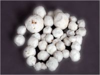 Sell High Alumina Refractory Cement