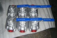 API Stainless steel Ball Valve