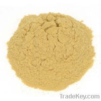Brewer Yeast Powder