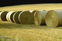 Sell Long Straw Pellets