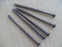 Sell iron nail
