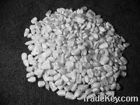 White Corn Suitable For Human Consumption