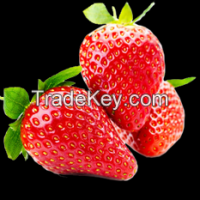 Sell Fresh Strawberry