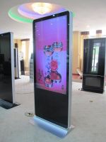 55 inch standing  lcd advertising display