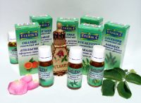 sell pure natural lavender essential oil
