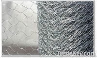 Hexagonal Wire Mesh