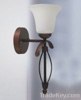 kitchen lamp, desk light, table light, reading light, floor light, guest