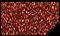MICROMIST( micronic glitters)