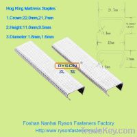 2012 New Hog Ring Mattress Staples
