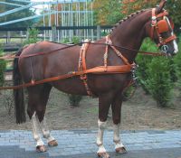 driving Harness Sets