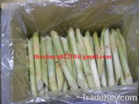 Sell sugar cane