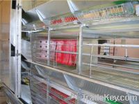 Sell Cage Equipment for Laying Hens Housing According to EU Standards