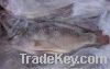 Frozen fish tilapia