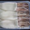 Frozen Squid