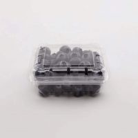 Fresh Blueberry Blue berry Supermarkets distributors and wholesalers