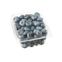 Export Quality Blueberries  Direct from South African Farms (2025 Crop)