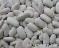 White Kidney Beans
