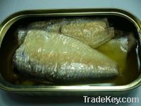 Canned Sardine