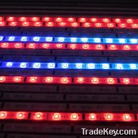 5050 24 volt led strip light