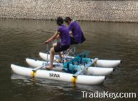 Amusement Park Racing Boat