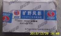 12024 2S601 Piston Pin for CY QD32 Engine