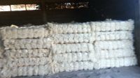 2016 HOT SELL!! SISAL FIBER/ UG GRADE RAW SISAL FIBER/SISAL FIBER
