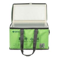 Good Insulation Portable Delivery Bag for Short Distance Food Ice Cream Dispatching