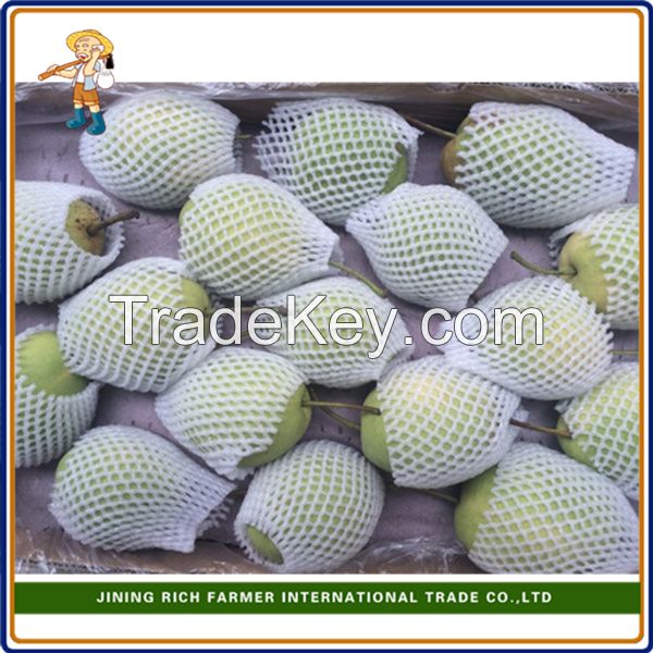 2015 New Crop high quality fresh Ya Pear