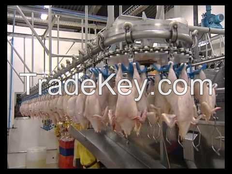 Processed Frozen Chicken Feet, Chicken Paws, Whole Chicken, Chicken Wings and Chicken Legs for Sale