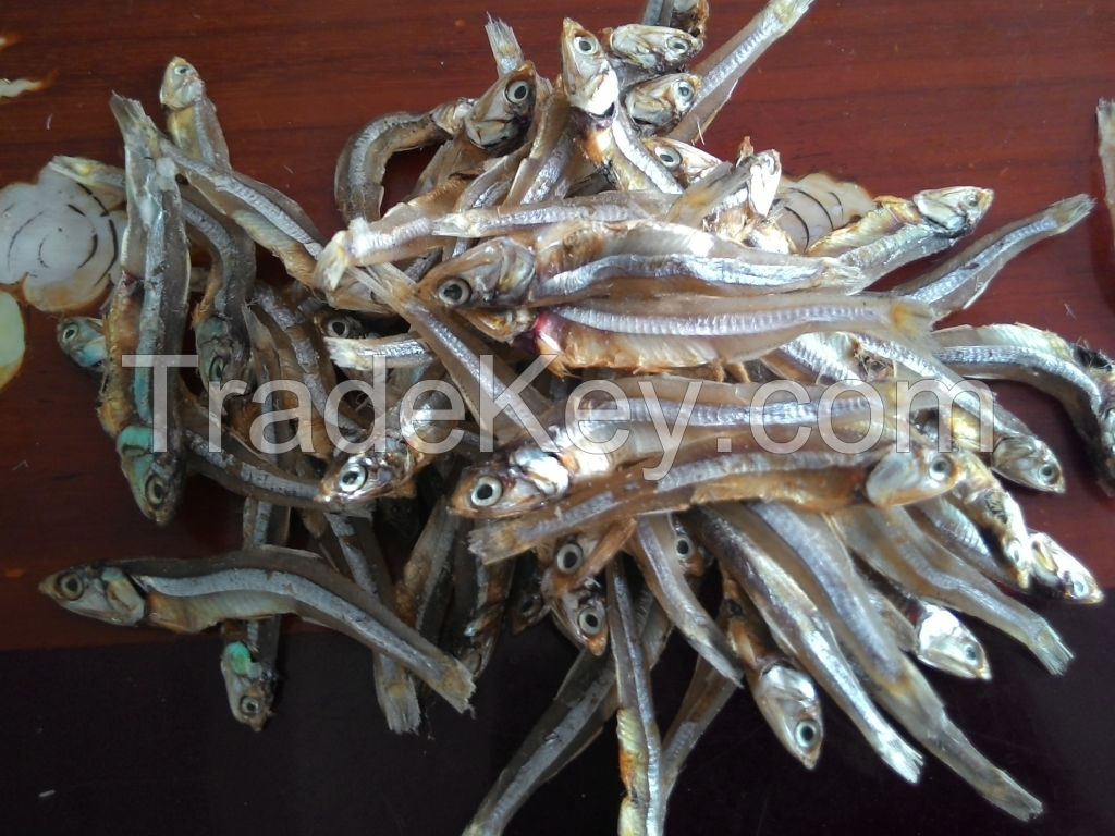 DRIED ANCHOVY FISH