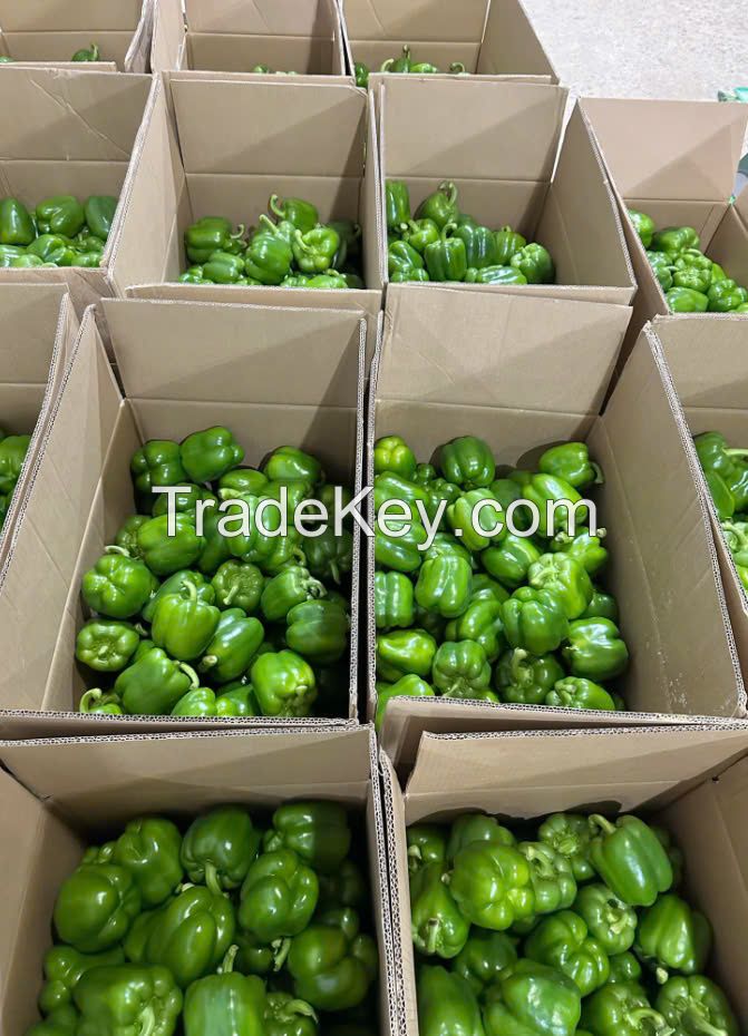 FRESH BELL PEPPER
