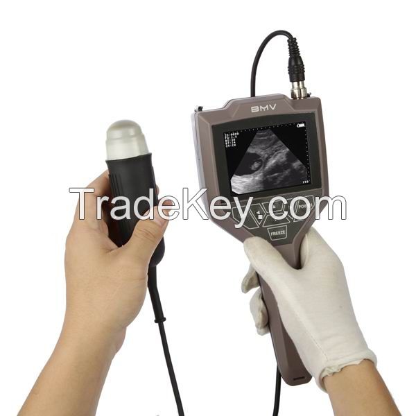 Full-digital swine, ovine ultrasound scanner