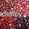 Kidney Beans 