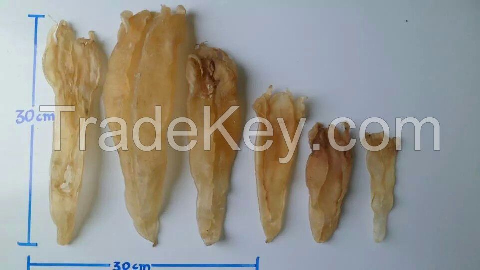 Pescada Amarela Fish Maw 